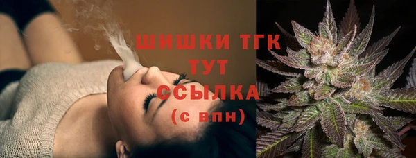 ешки Елизово