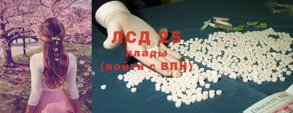ешки Елизово