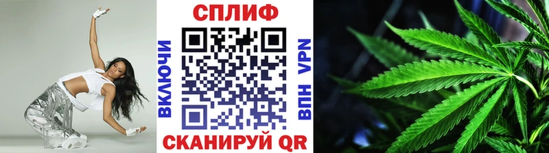 Шишки марихуана семена  Щёлково 